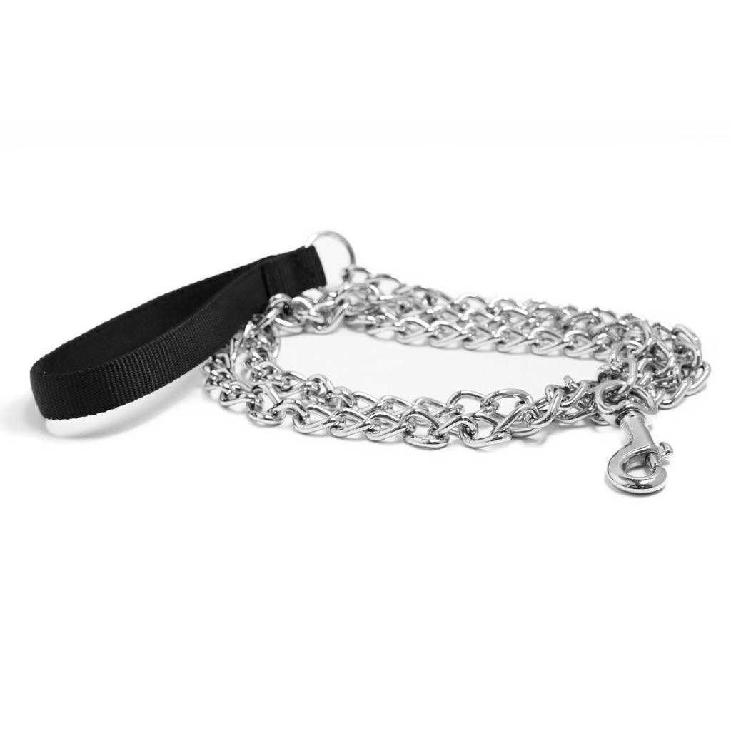 Pet Champion 5′ Nylon & Steel Chain Dog Leash - Healthber