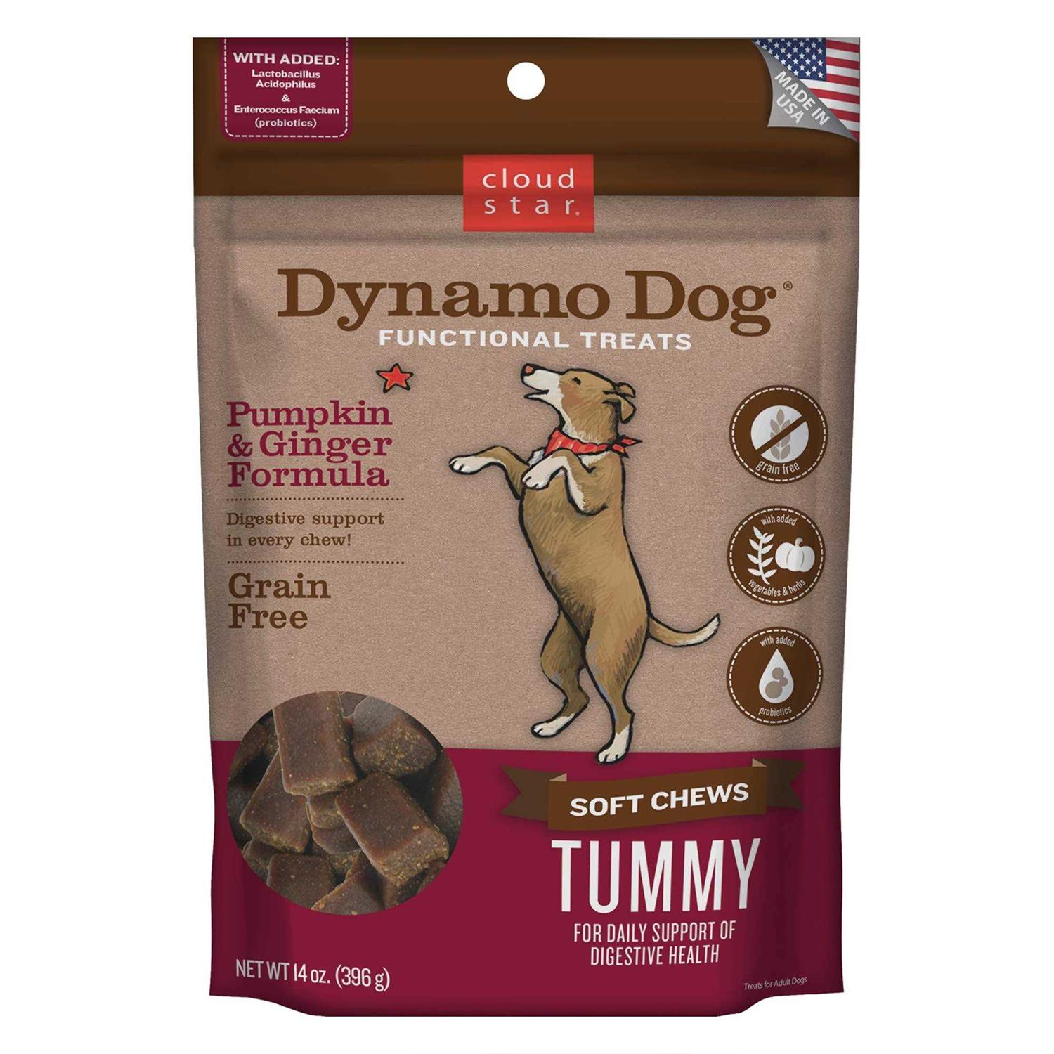 Cloud Star Dynamo Dog Pumpkin & Ginger Tummy Treats - Healthber