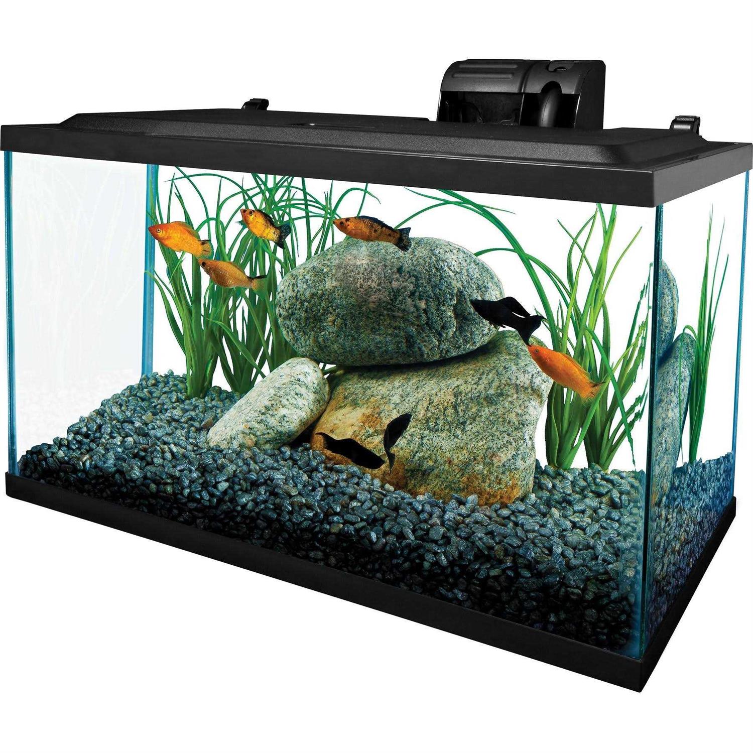 Tetra Glass Aquarium 10 Gallons - Healthber
