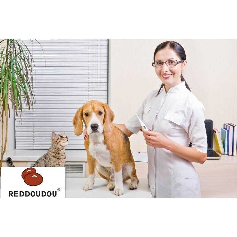 Reddoudou Digital Pet Thermometer for Accurate Fever Detection, Suitable for Cats/Dogs/Horse/Veterinarian, Waterproof Pet Thermometer, Fast and - Healthber