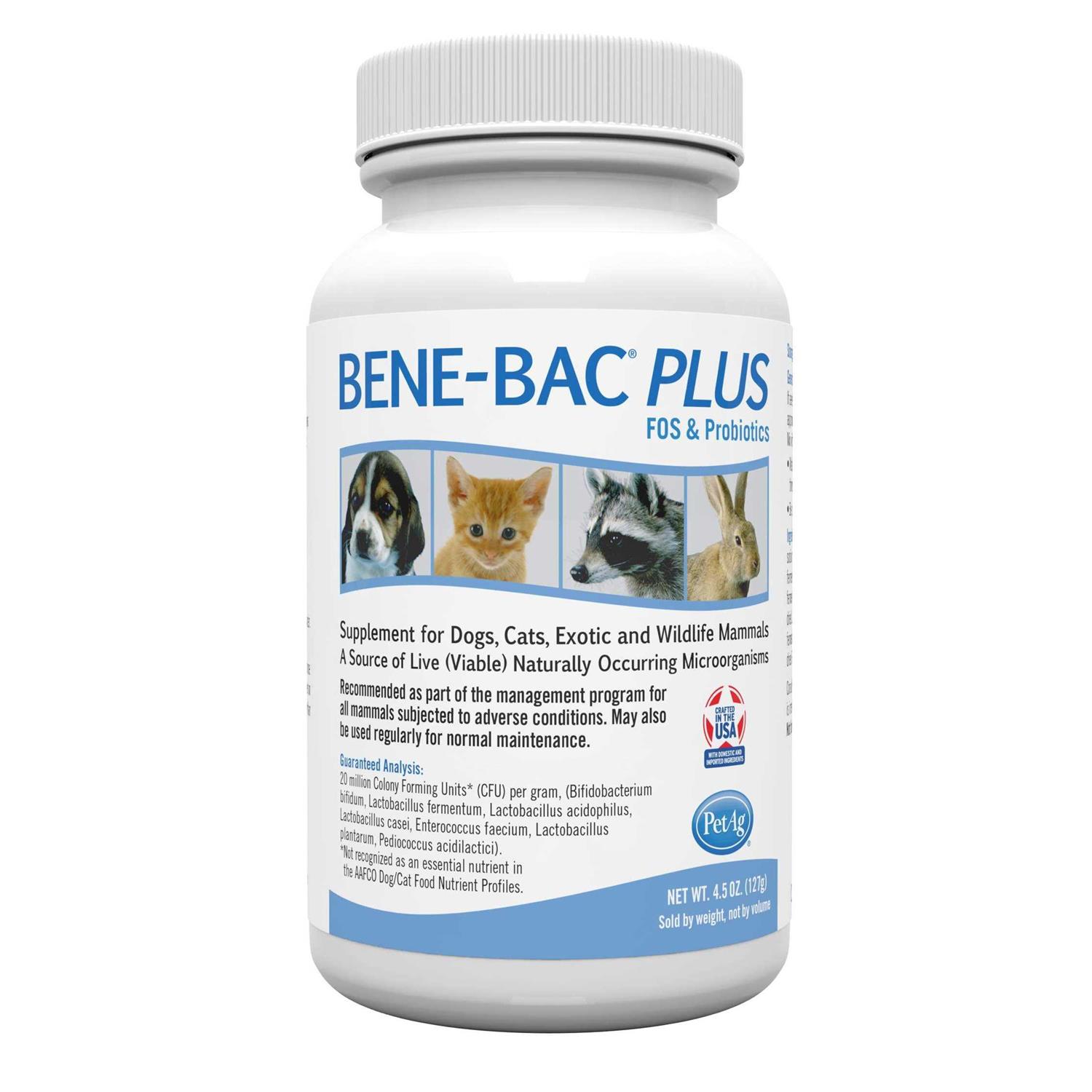 PetAg Bene-Bac Plus Powder Fos Prebiotic and Probiotic for Dogs, Cats, Exotic and Wildlife Mammals - Healthber
