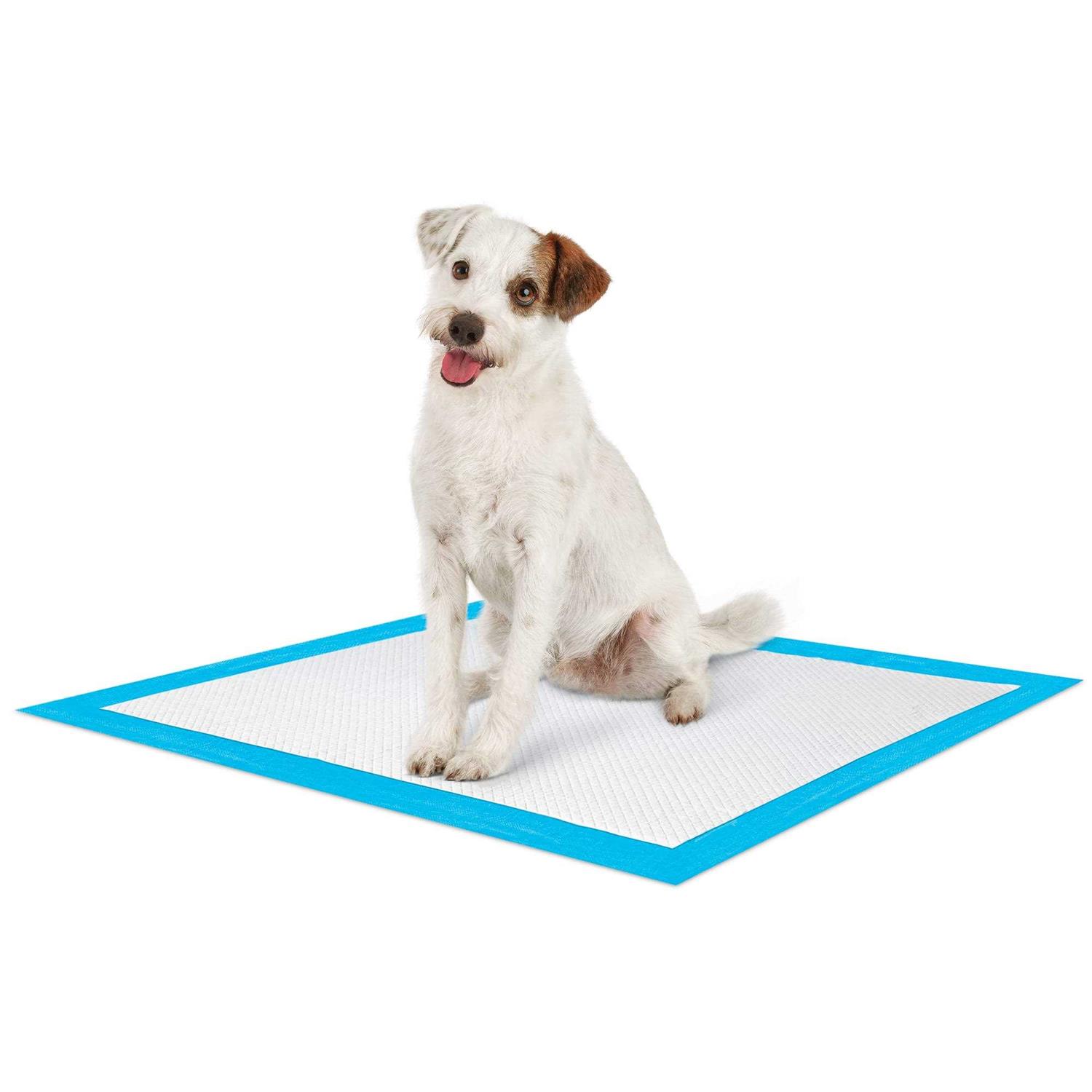 So Phresh Large Leak Guard Quilted Potty Pads - Healthber