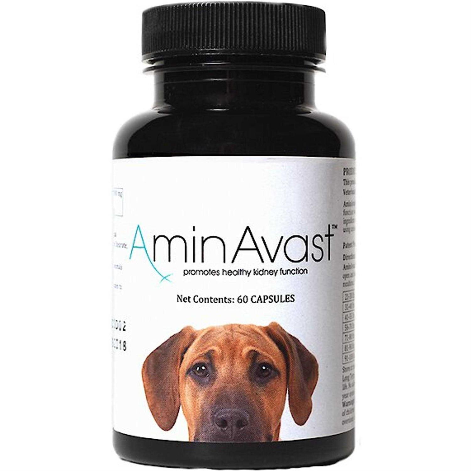AminAvast Kidney Support for Dogs - Healthber