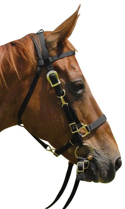 Nylon Combination Horse Halter Bridle with Reins - Healthber
