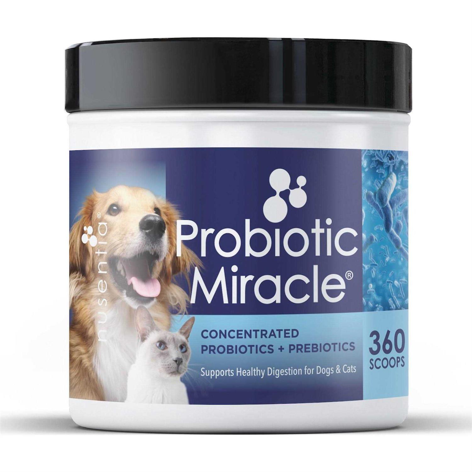 Nusentia Probiotic Miracle Probiotics for Dogs - Healthber