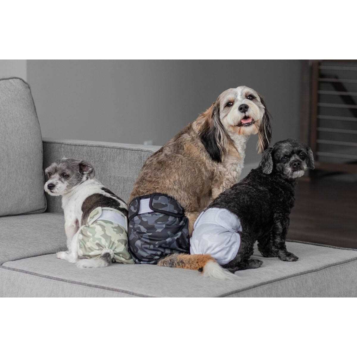Pet Parents Washable Dog Diapers of Doggie Diapers - Healthber