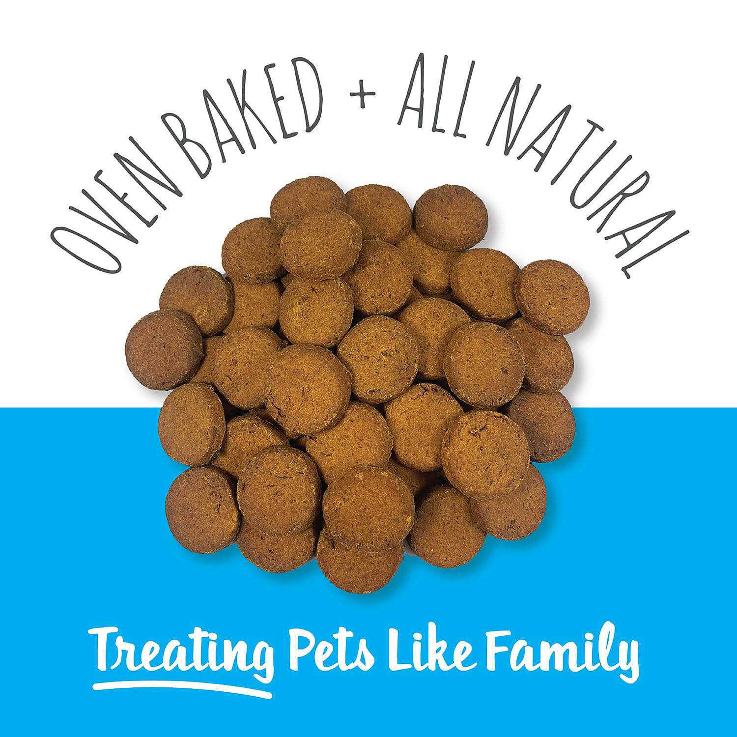 Snif-Snax Scottish Salmon Bites Dog Treats - Healthber