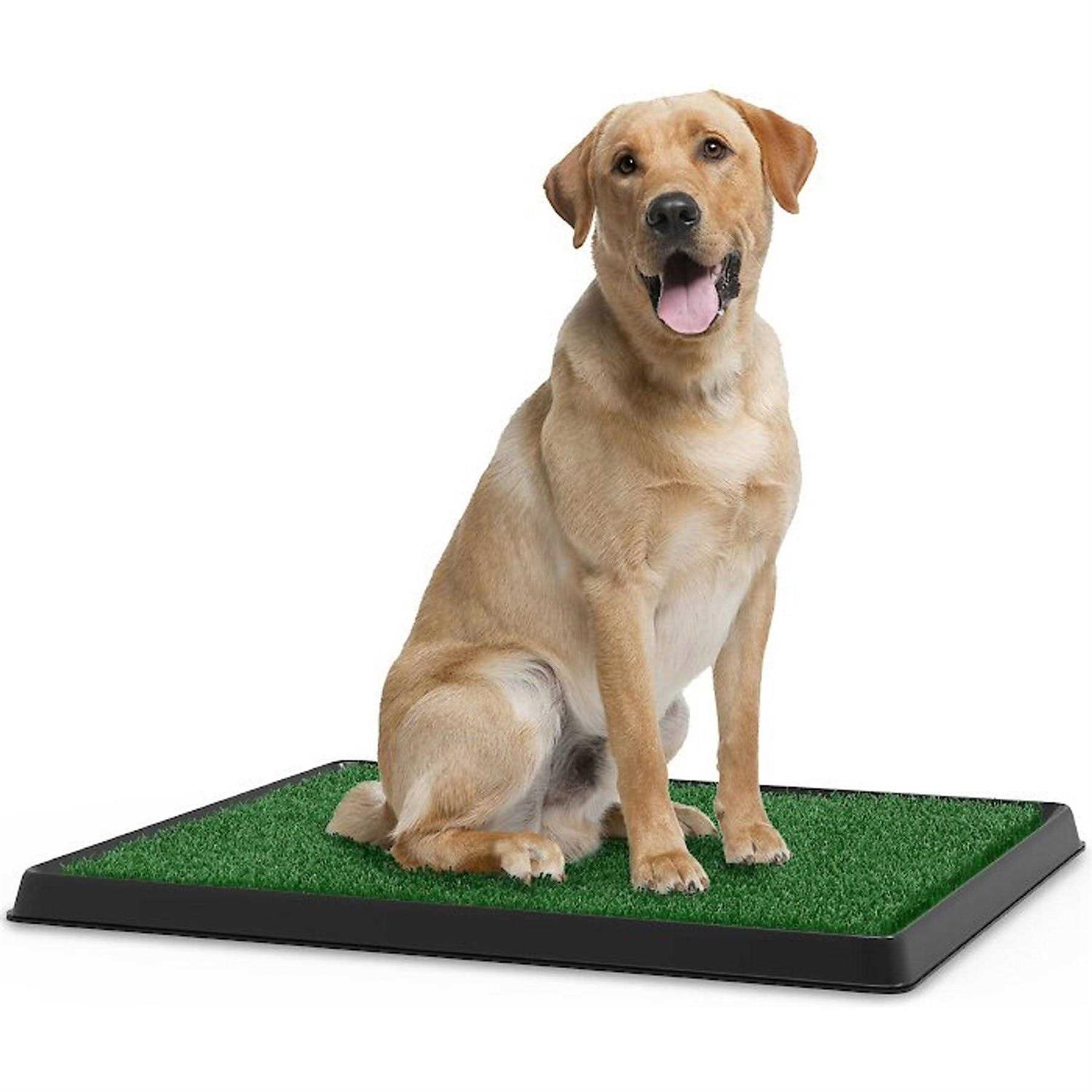 Pet Adobe Artificial Grass Potty Trainer Mat - Healthber