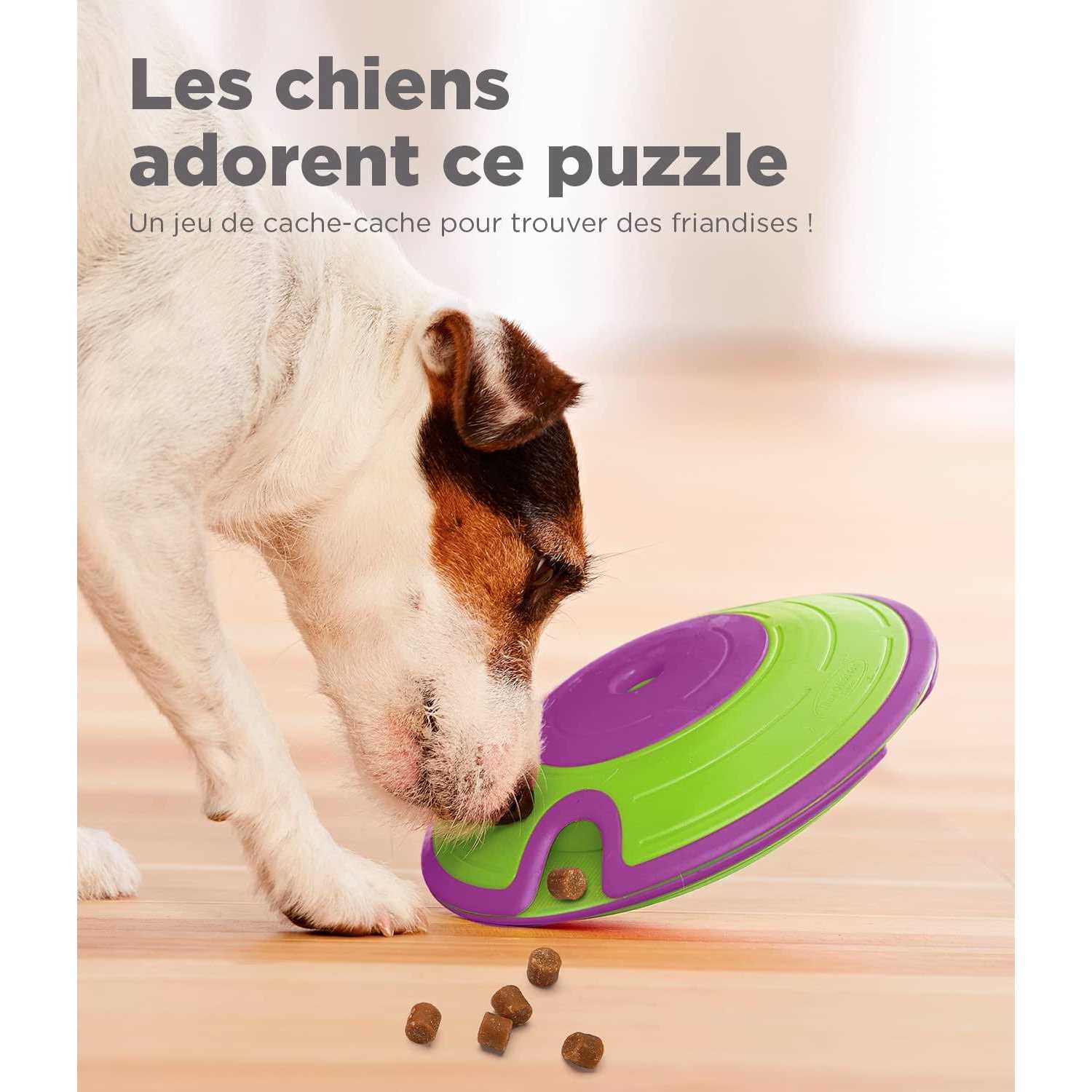 Outward Hound Nina Ottosson Treat Maze Puzzle Dog Toy - Healthber