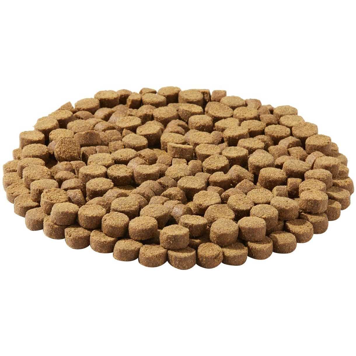 Kasiks Wild Pacific Ocean Fish Meal Formula Grain-Free Dry Dog Food - Healthber