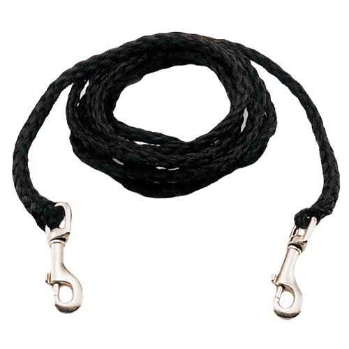 Coastal Poly Dog Tie Out - Healthber