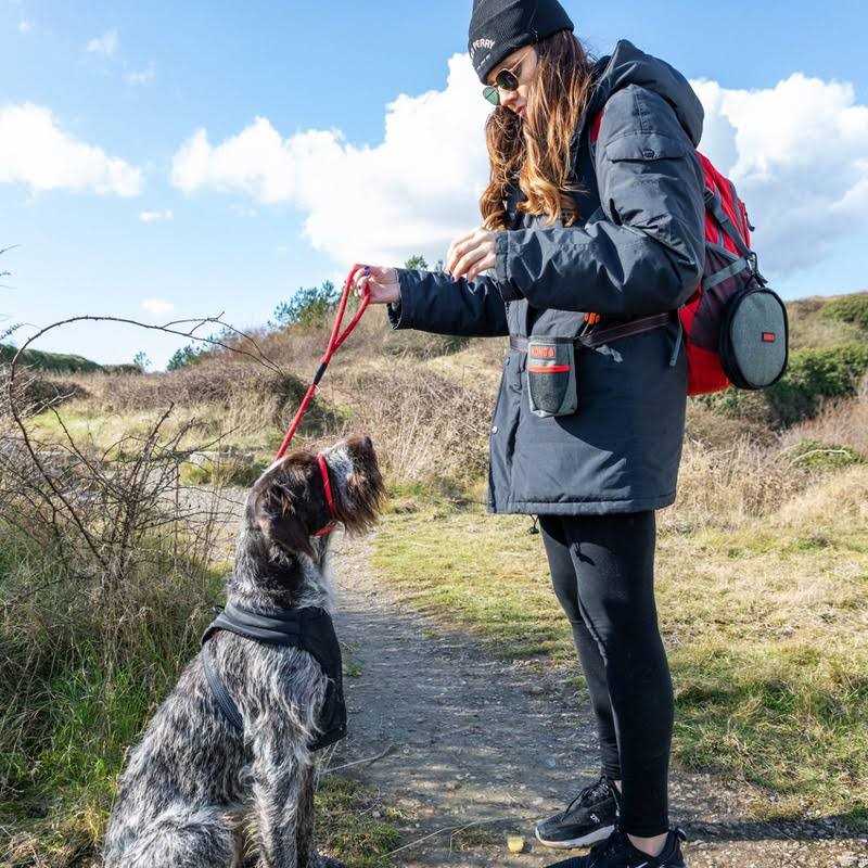 Kong Treat Bag - Healthber