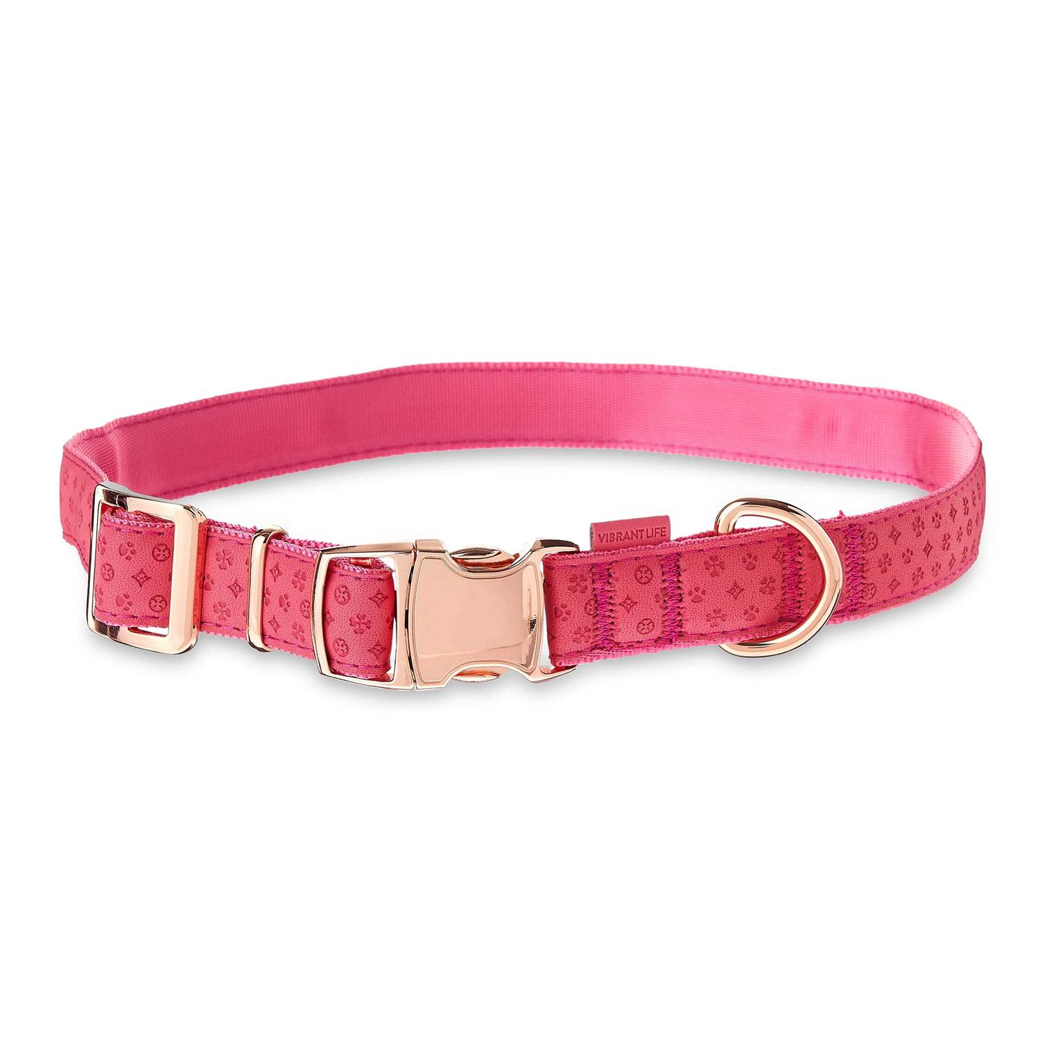 Vibrant Life Embossed Adjustable Dog Collar - Healthber