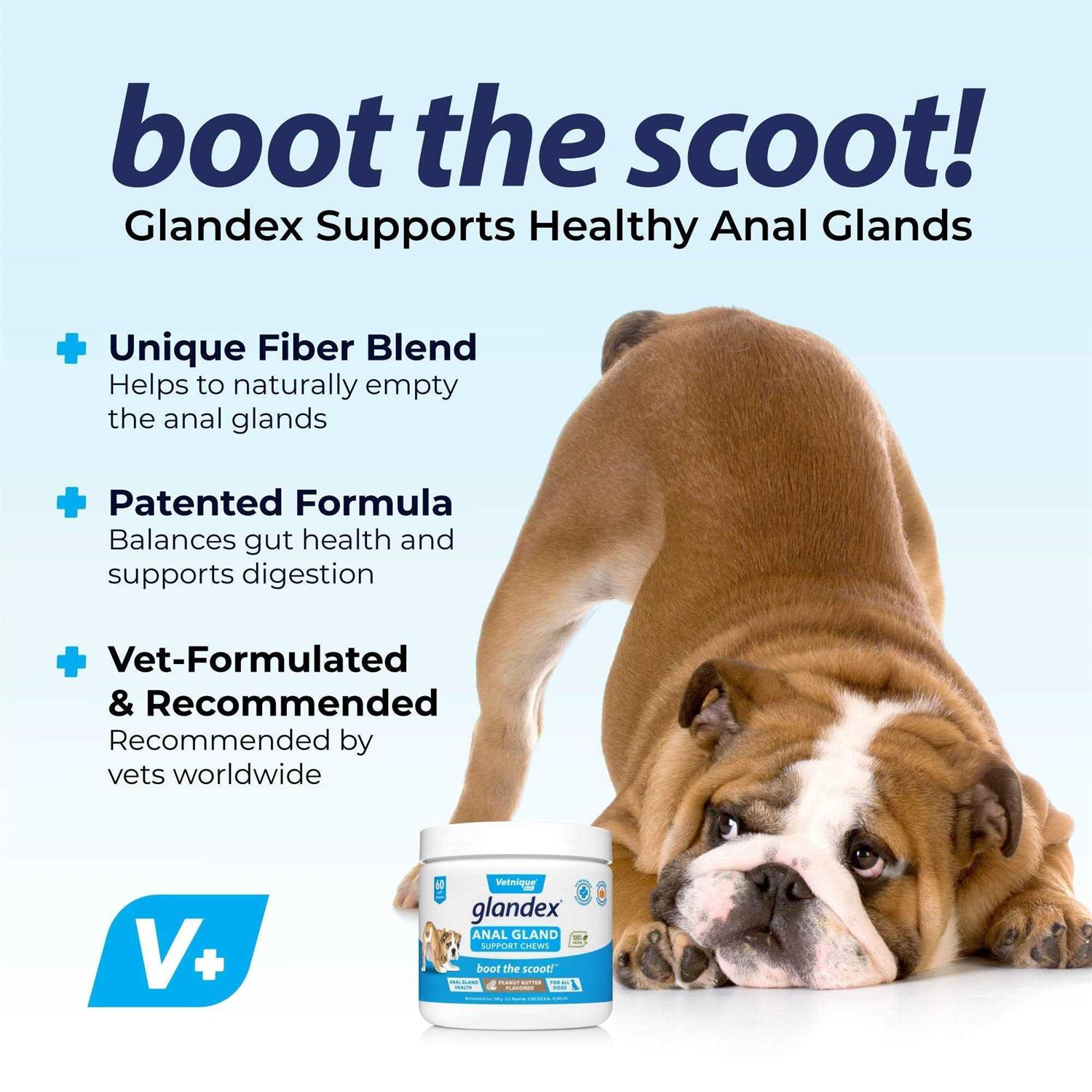 Glandex Anal Gland Support Peanut Butter Chews for Dogs - Healthber