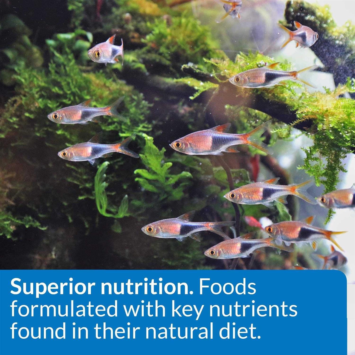 API Tropical Food - Healthber