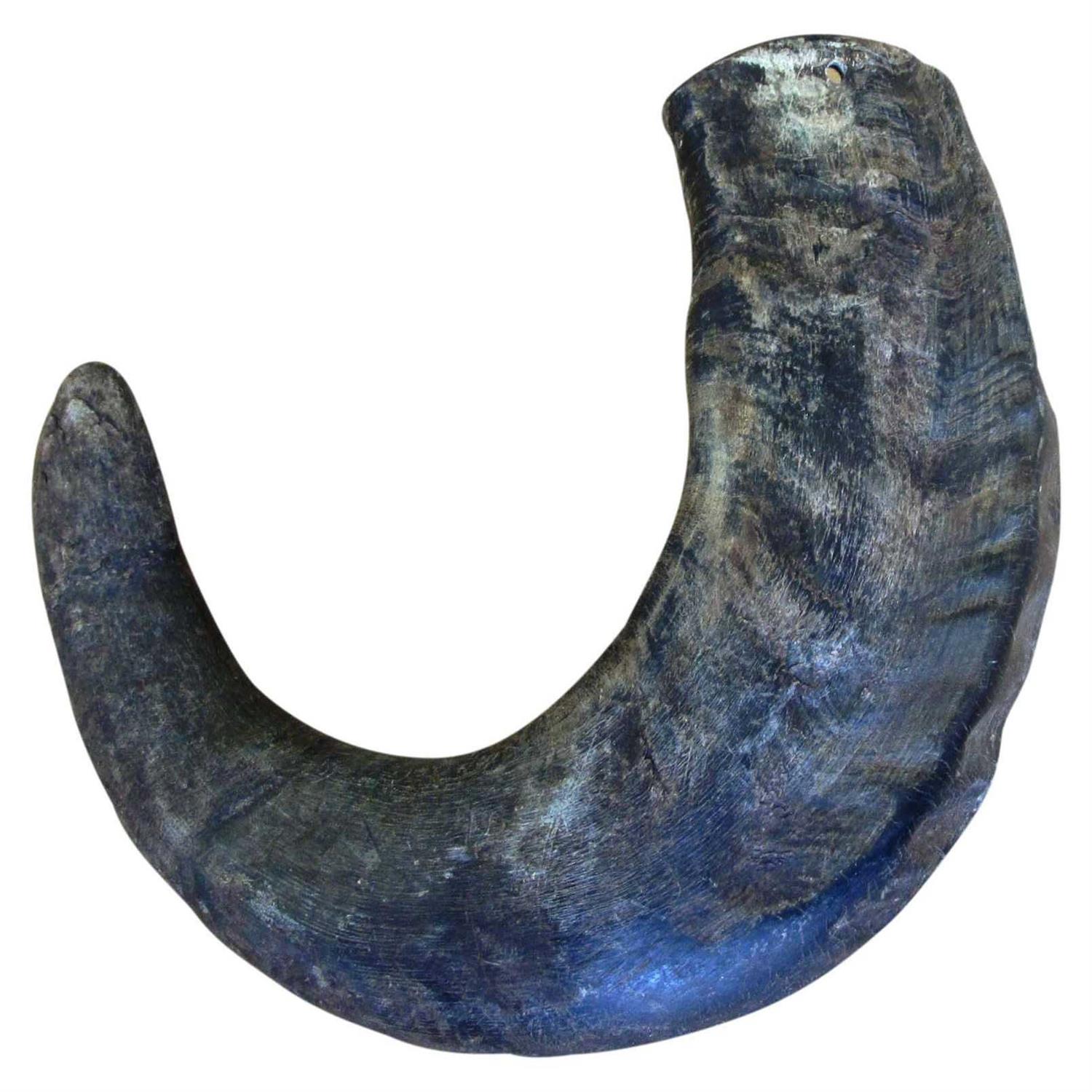 QT Dog Water Buffalo Horn Small - Healthber