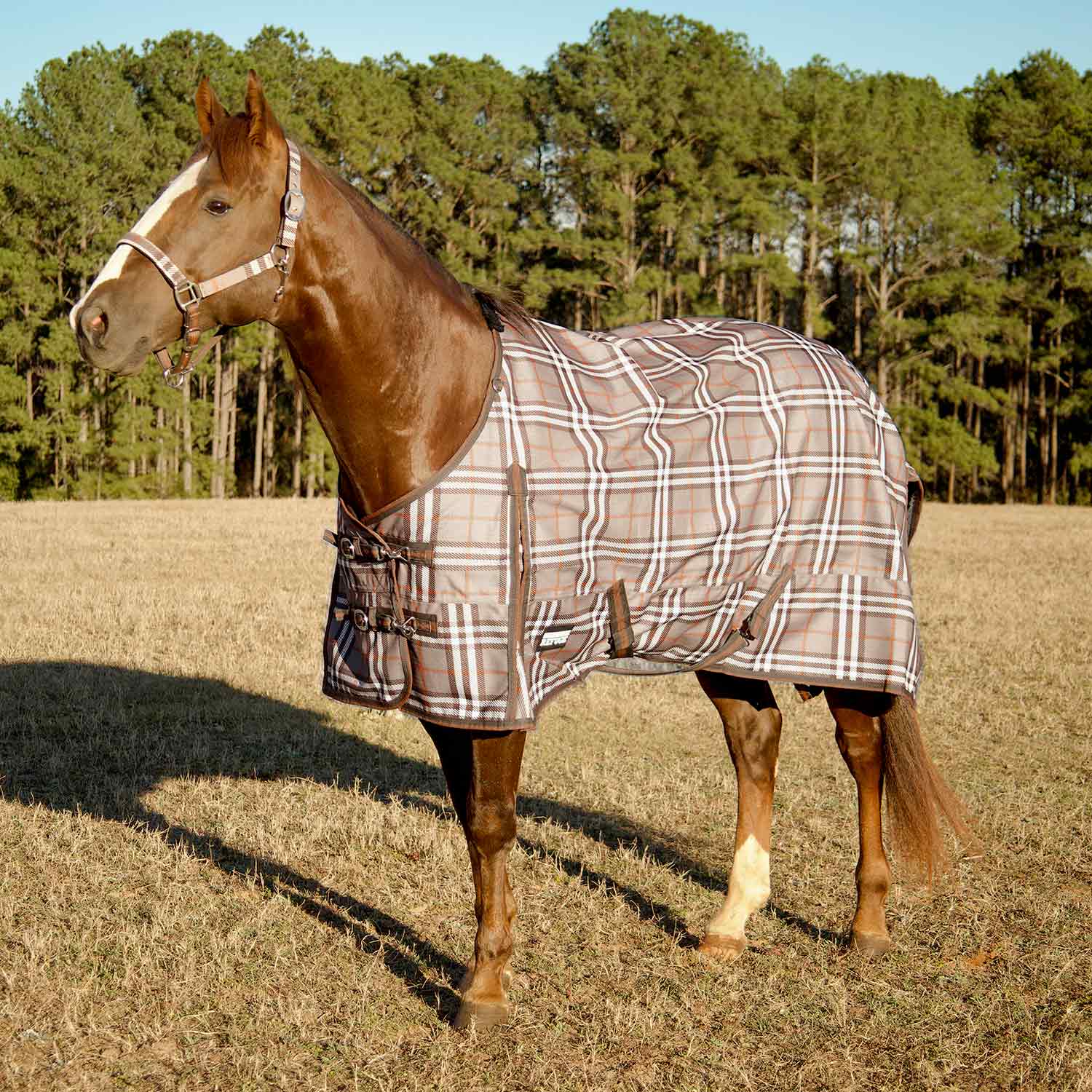 Poplar Head Refuge 1200 Denier Turnout Blanket, 240 Gram, Plymouth Brown Plaid - Healthber