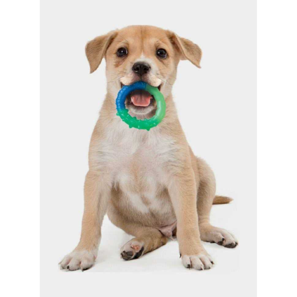 Petstages Grow With Me Ring Dog Toy - Healthber