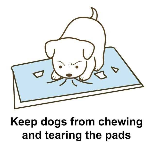Richell PAW TRAX Splash Free Potty Pad Tray - Healthber