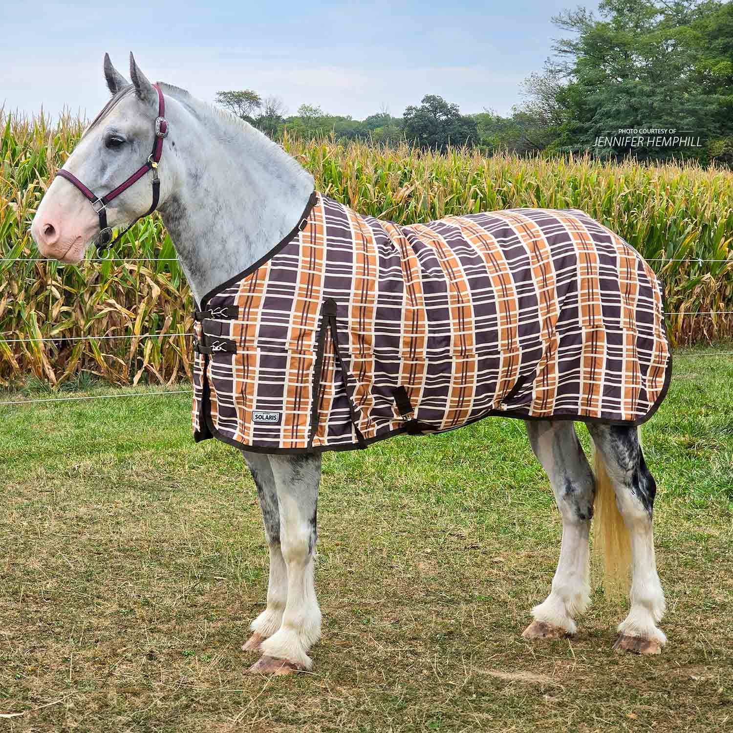 Solaris 1200D Draft Horse Turnout Blanket, 240g, Brown & Cream Plaid - Healthber