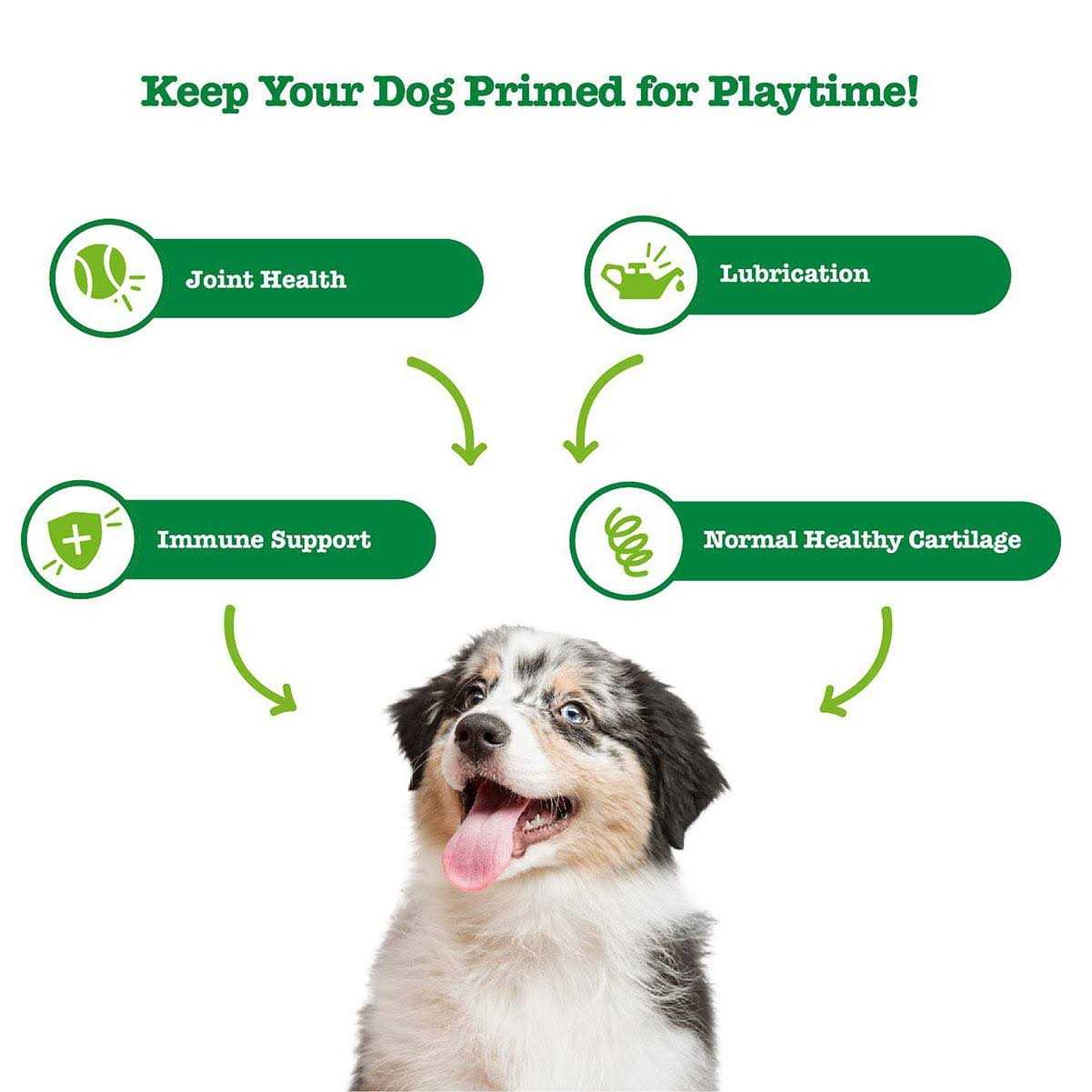 Zesty Paws Hemp Elements Mobility Bites for Dogs - Healthber