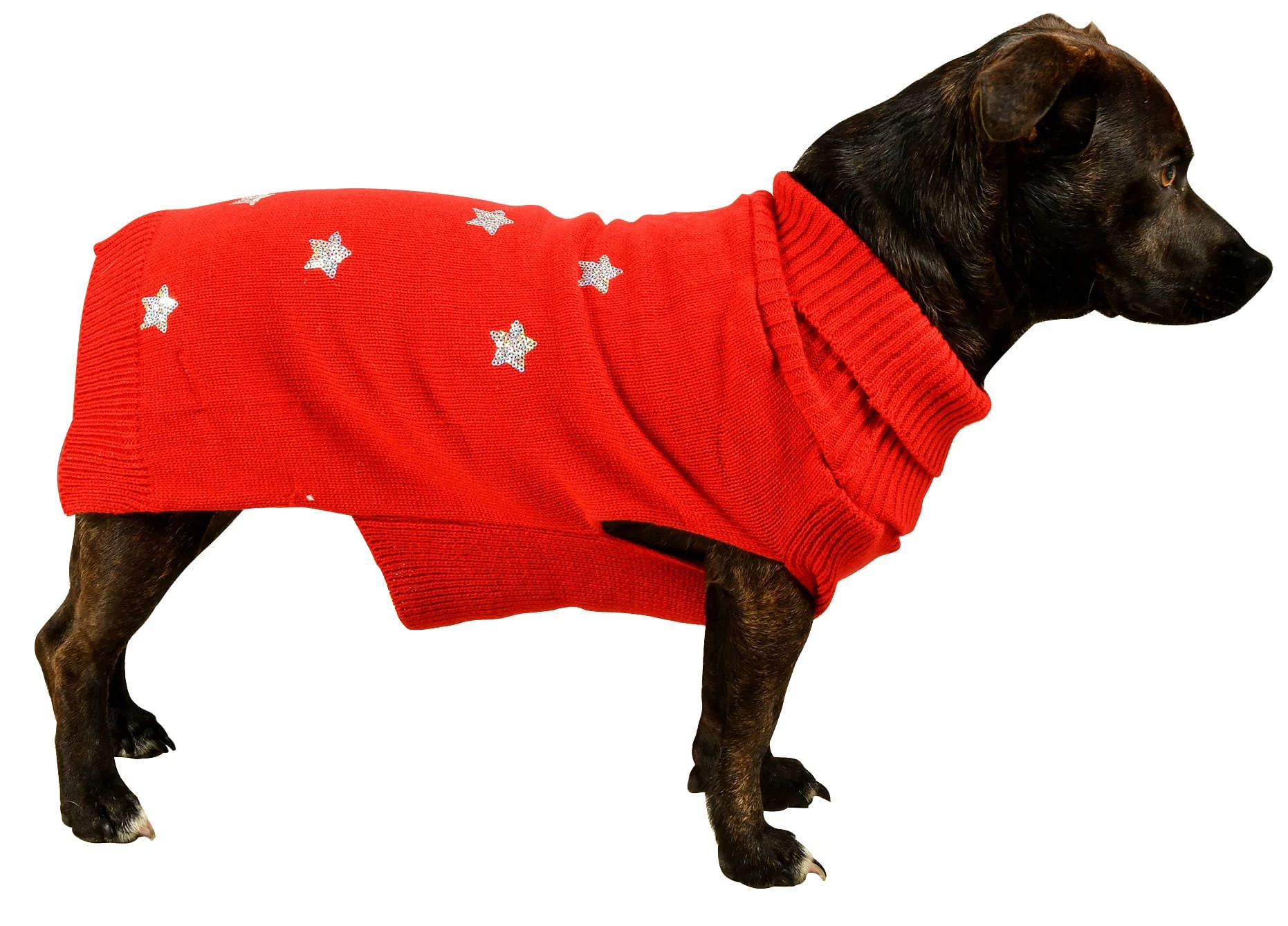 Sequin Stars Dog Sweater - Healthber