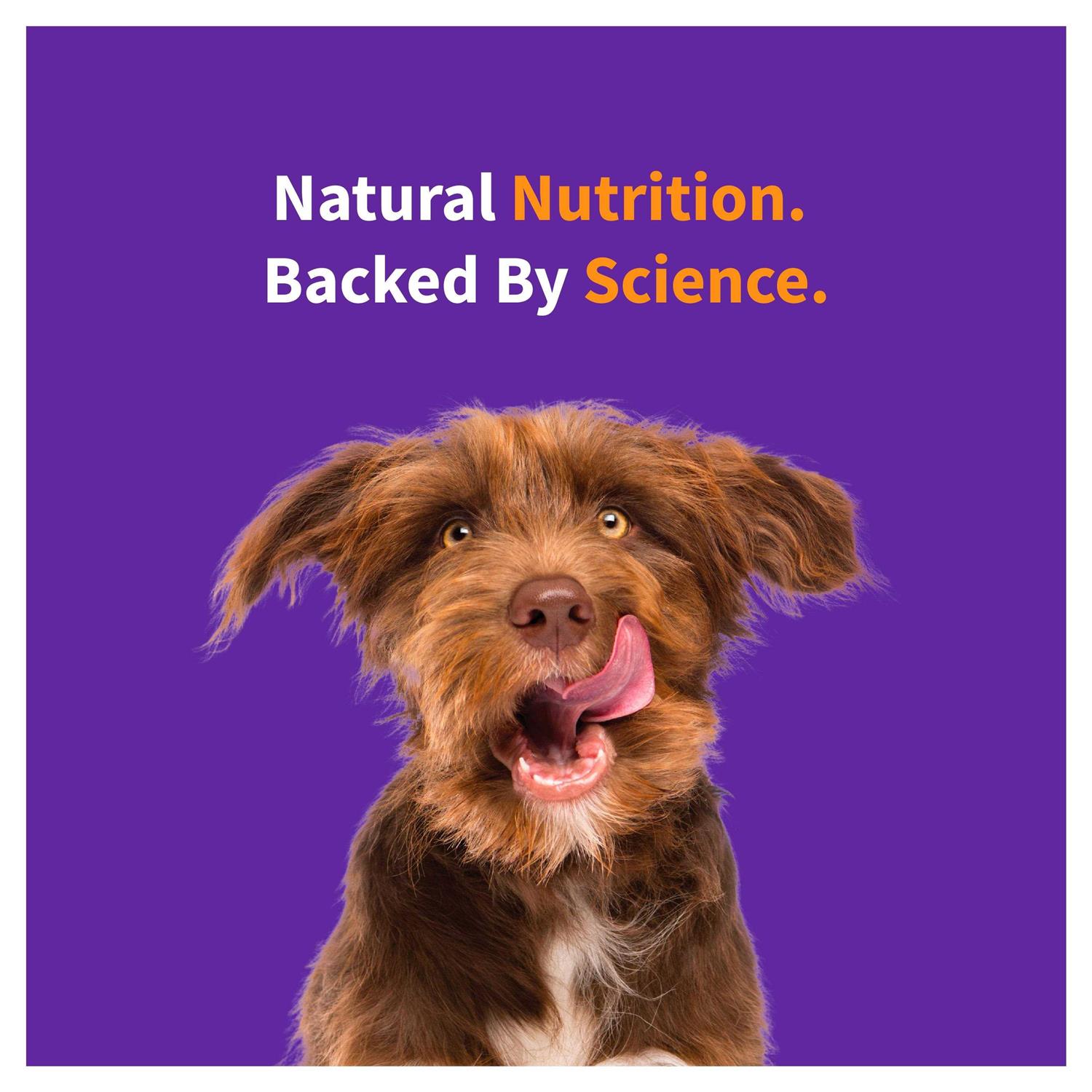 Halo Elevate Free Red Meat Recipe Dry Dog Food - Healthber