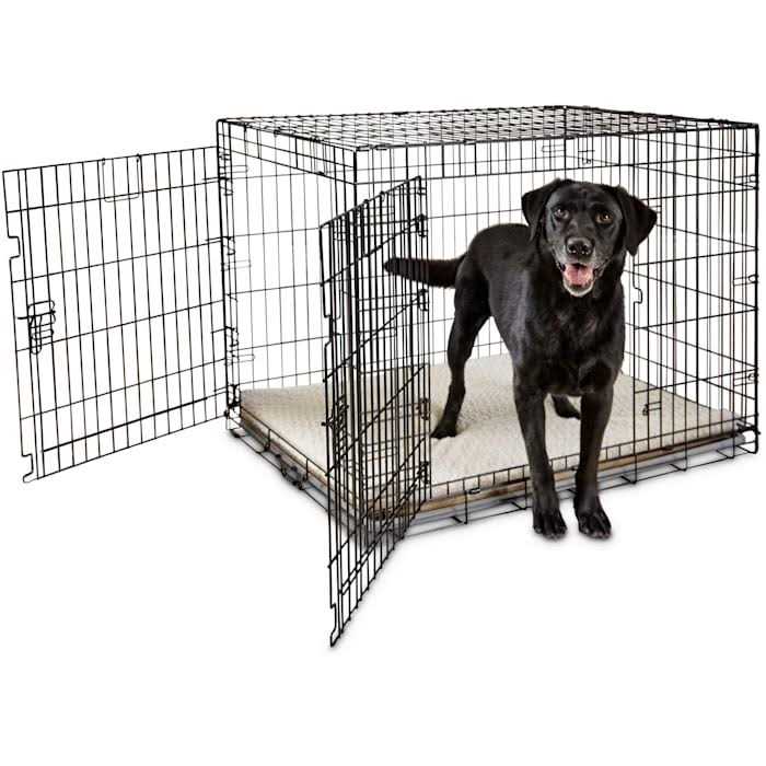 EveryYay Going Places 2-Door Folding Dog Crate - Healthber