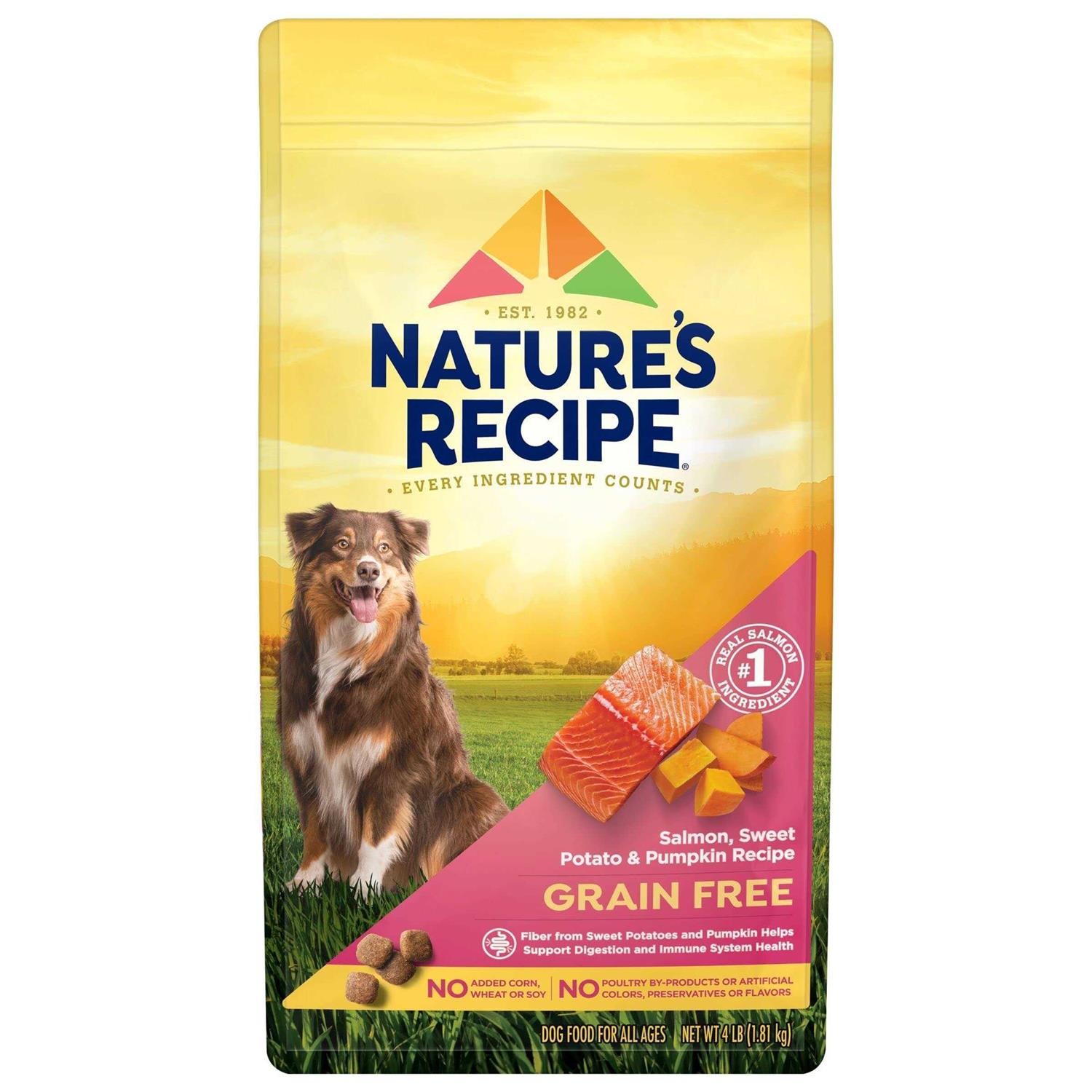 Nature’s Recipe Grain Free Salmon Sweet Potato & Pumpkin Recipe Dry Dog Food - Healthber