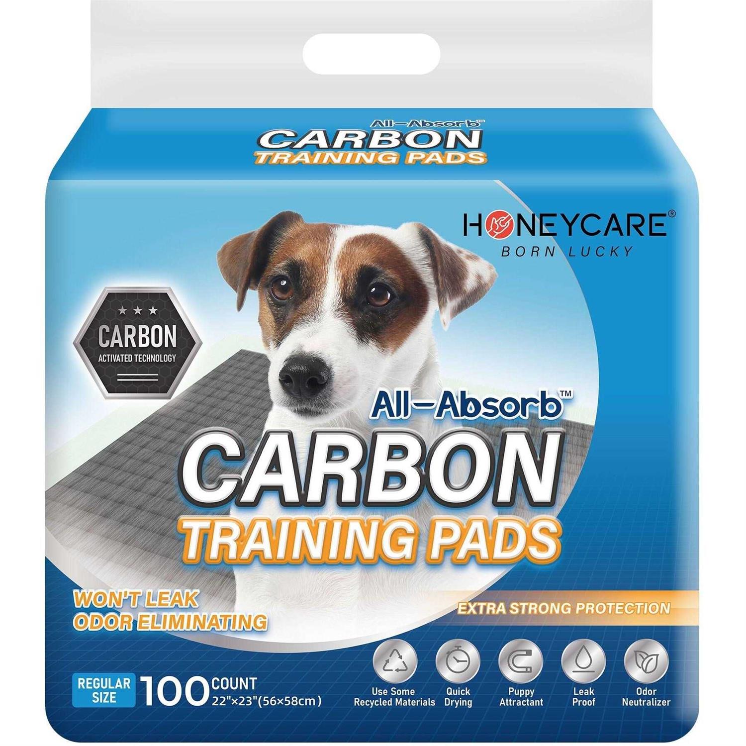 HONEY CARE All-Absorb Puppy Training Pads Potty Pads Absorb Eliminating Urine Odor - Healthber