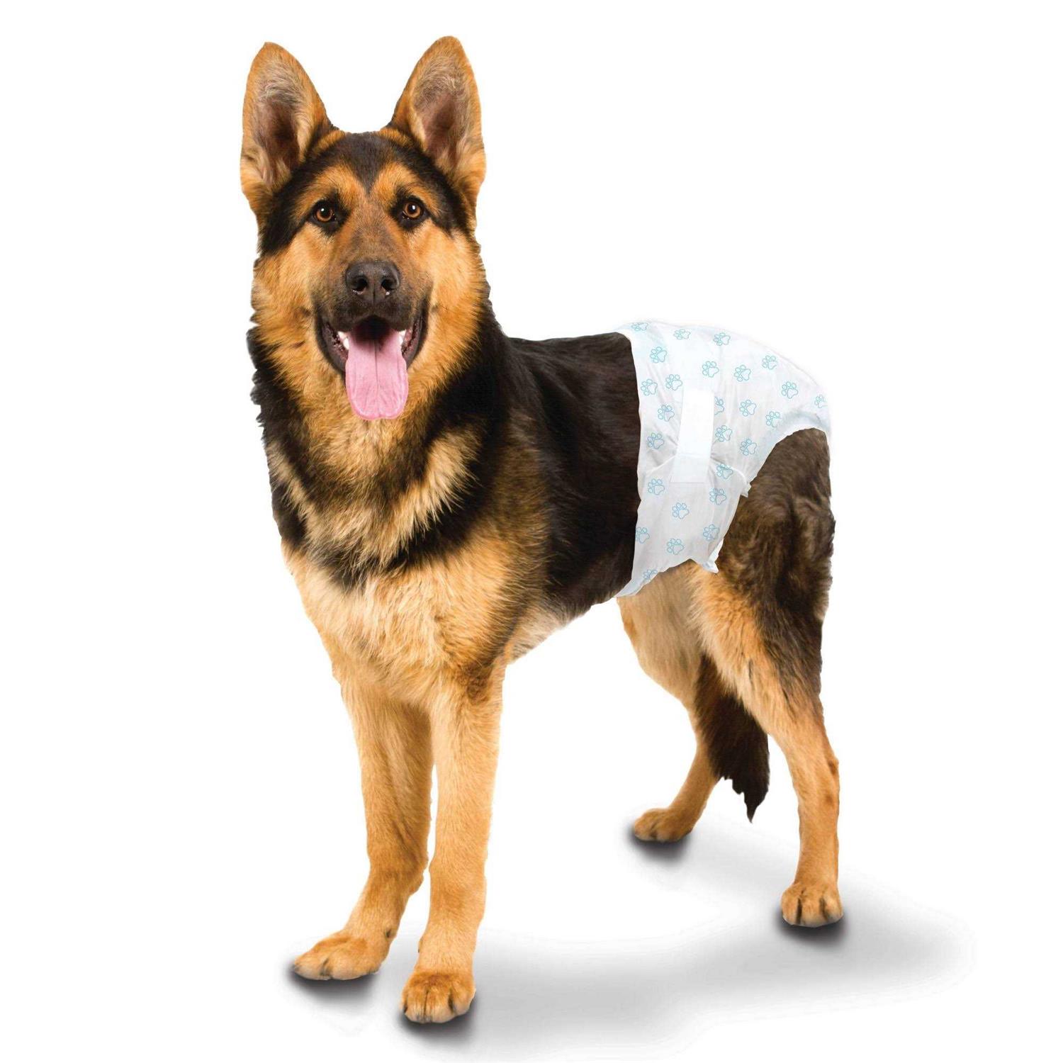 Four Paws Wee Wee Disposable Diapers - Healthber