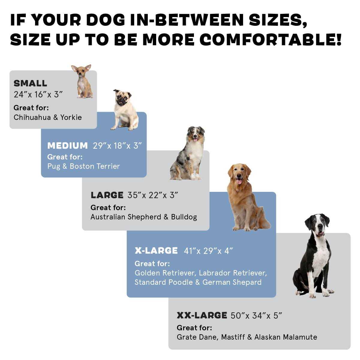 Barkbox Memory Foam Platform Dog Bed Plush Mattress for Orthopedic Joint Relief - Healthber