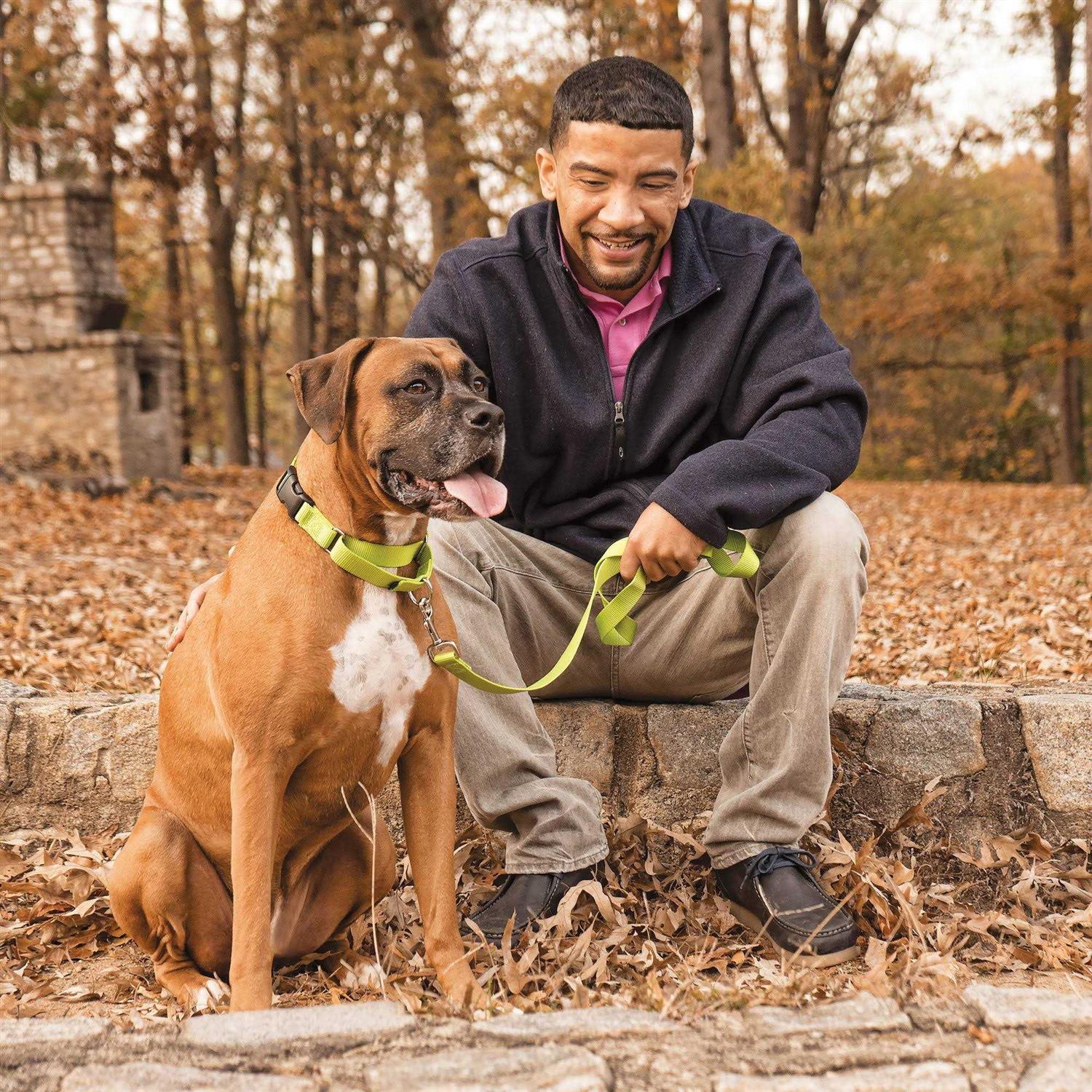 PetSafe Martingale Collar Quick Snap - Healthber