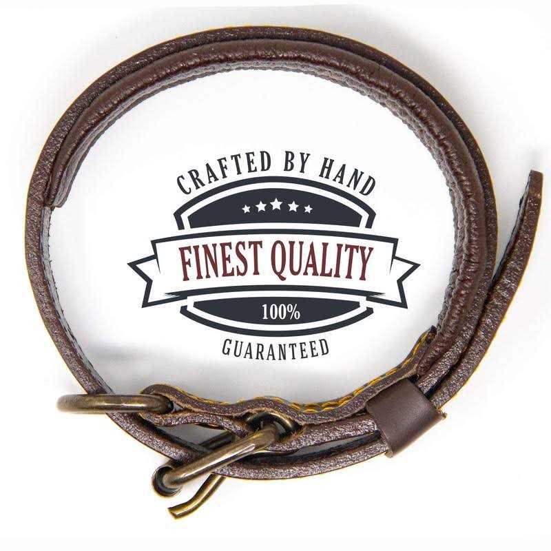 Logical Leather Padded Dog Collar Best Full Grain Genuine Leather Collar - Healthber