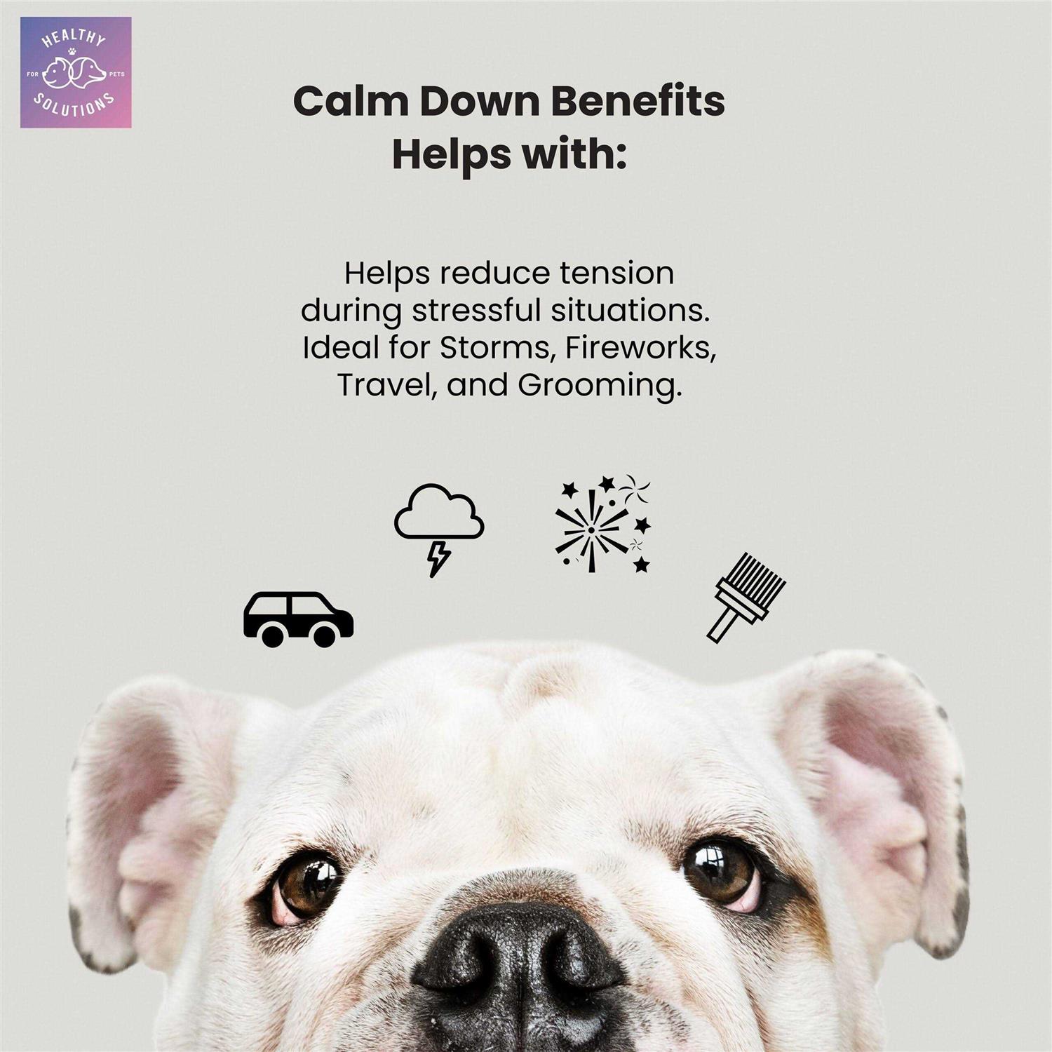 Healthy Solutions for Pets Dog Calming Aid Soft Chew Supplement with Ginger and Melatonin - Healthber