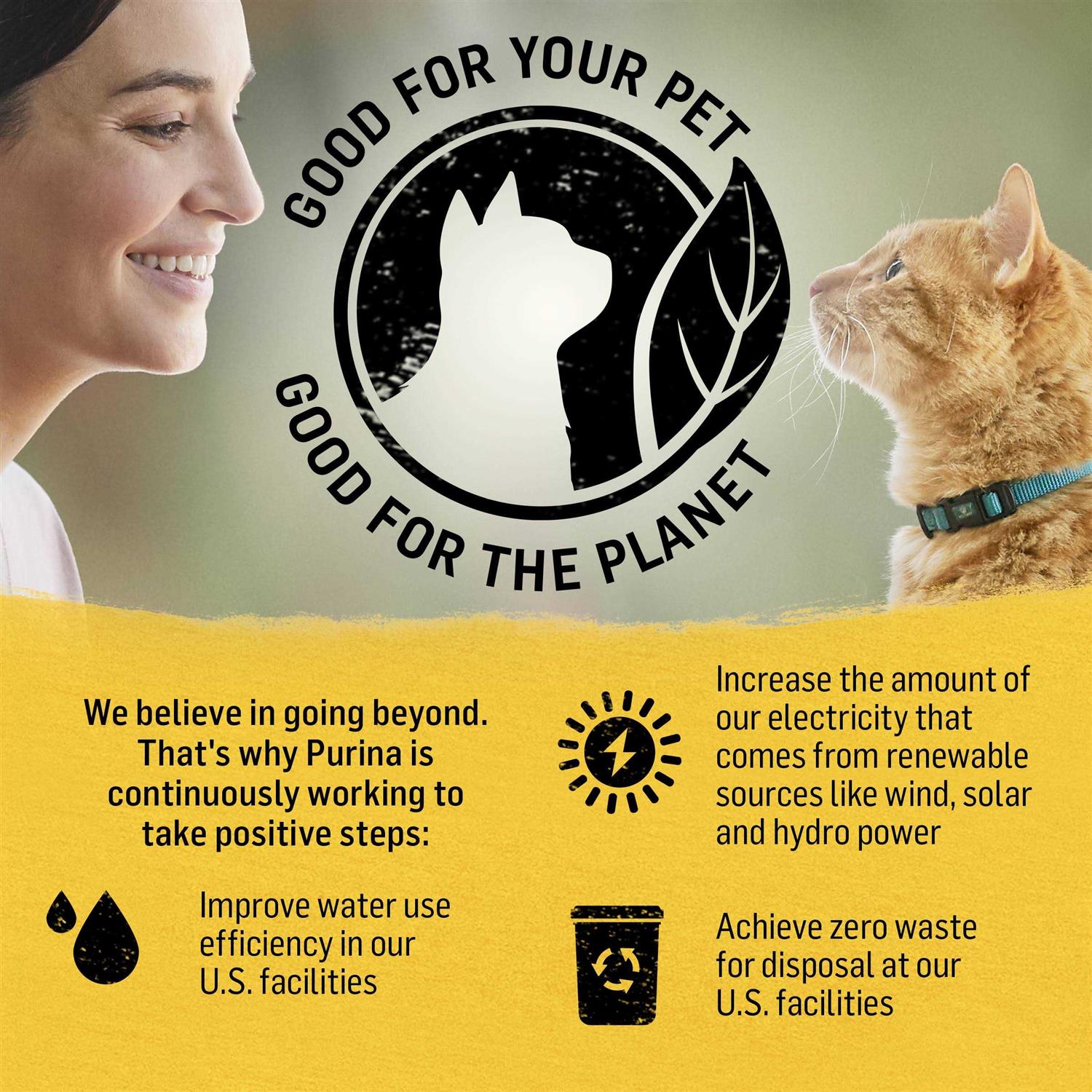 Purina Beyond Cat Dry Food - Healthber