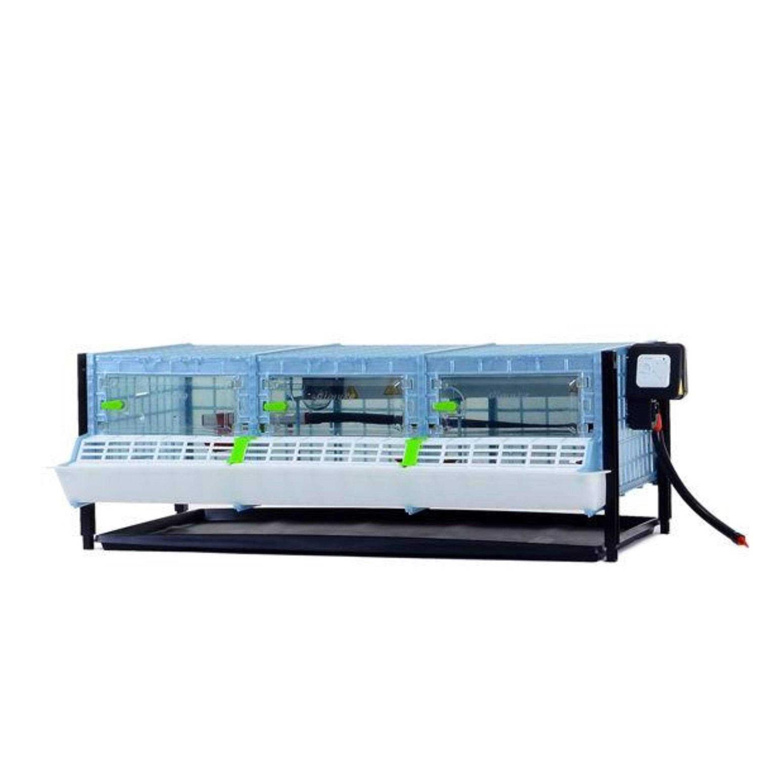Hatching Time Chick Brooder TIER Addition - Healthber