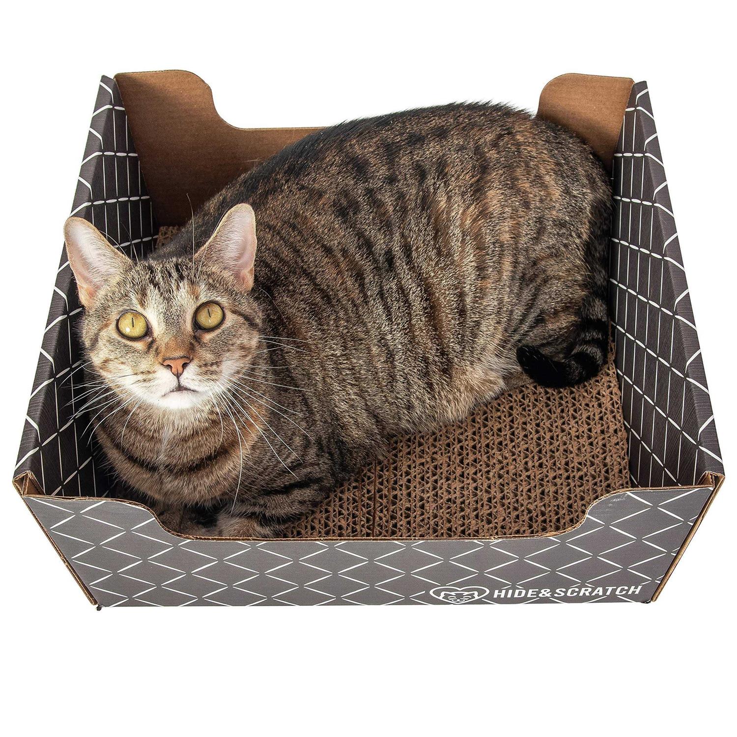Hide & Scratch Extra-Large Heavy Duty Cardboard Cat Scratcher and Lounger Box with Refillable Scratch Pad - Healthber