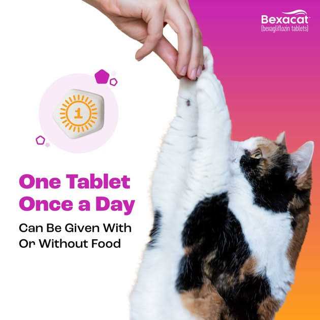 Bexacat for Cats 15 mg - Healthber