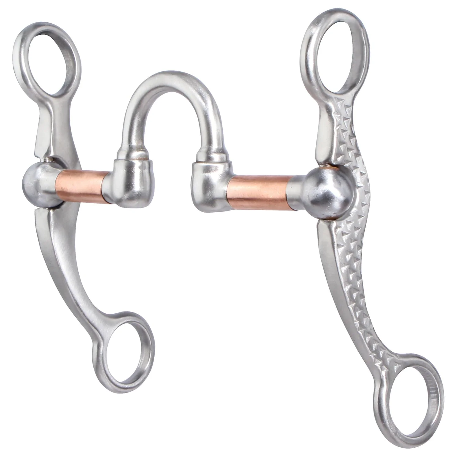 Professional��s Choice Correction Rasp Shank Bit - Healthber