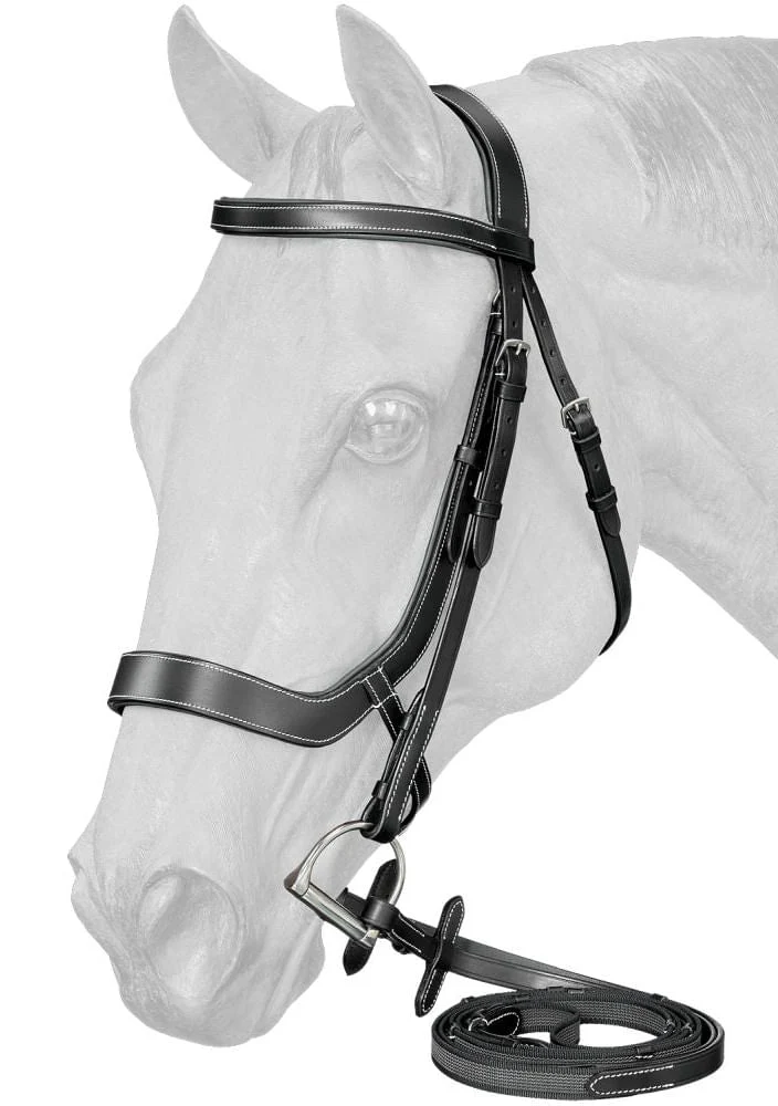 Equitare Cadence Ergonomic Bridle - Healthber