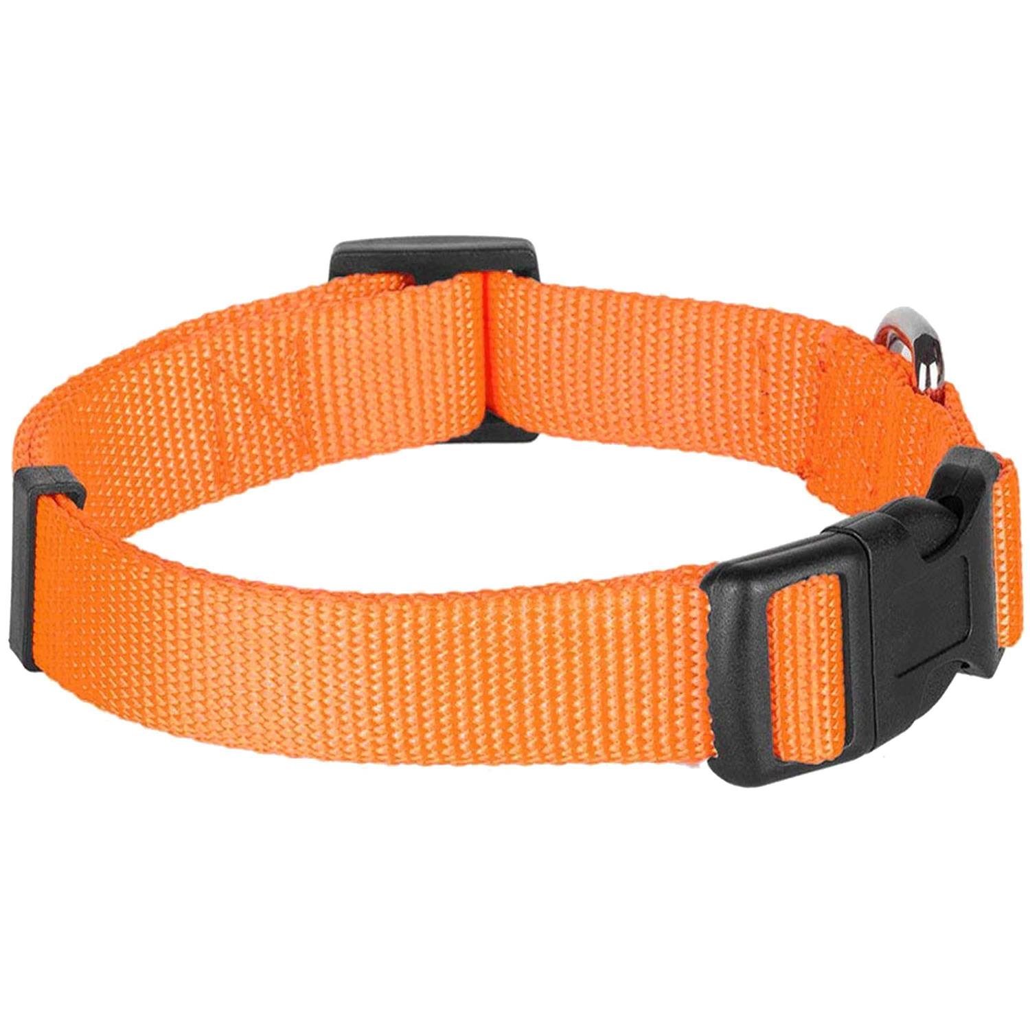 Blueberry Pet Classic Dog Collar - Healthber