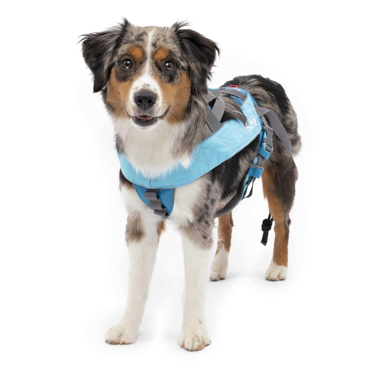 Kurgo Long Hauler Cradle Back Joring Dog Harness - Healthber