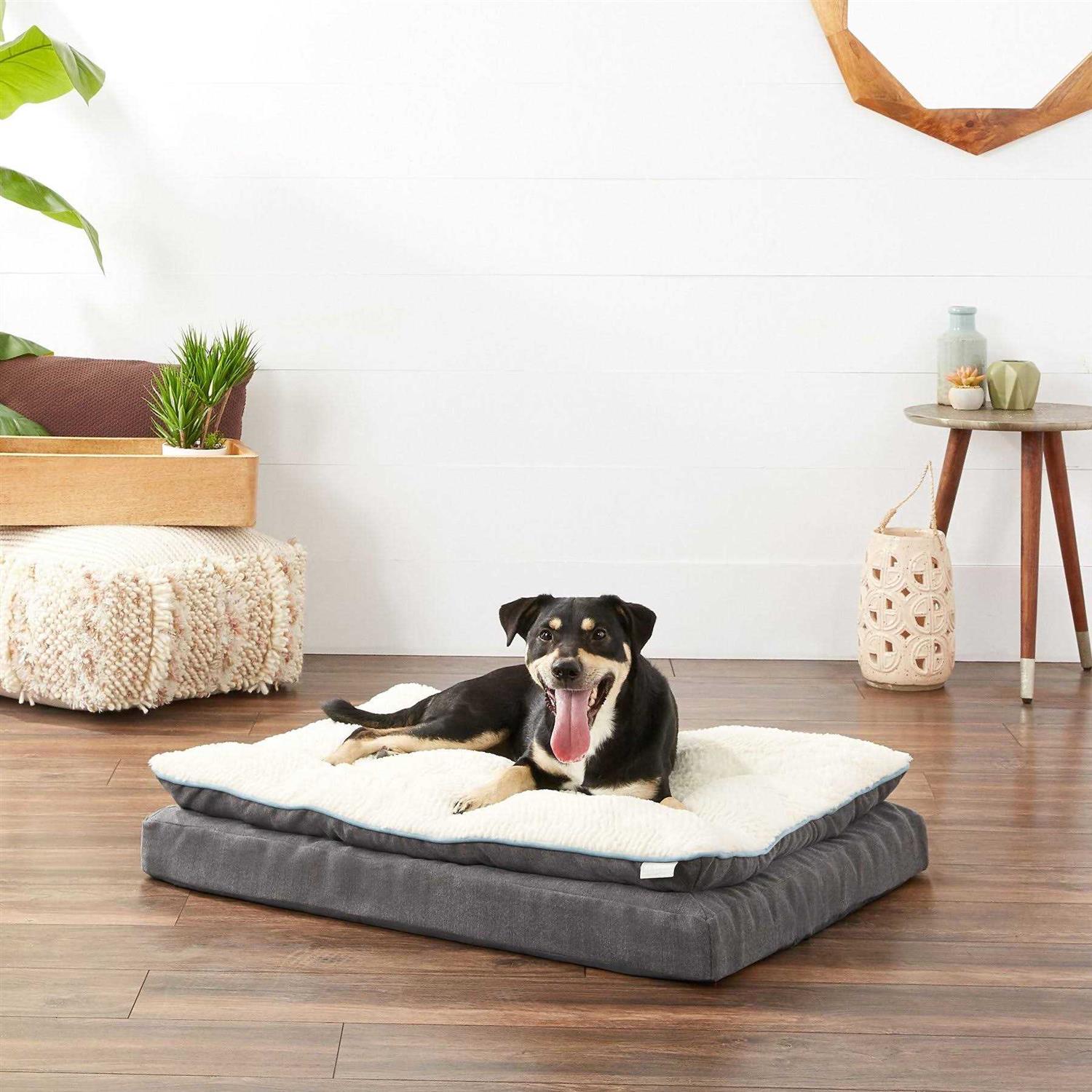 Frisco Plush Orthopedic Pillowtop Dog Bed w/Removable COVER - Healthber
