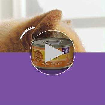 Wellness Complete Health Seafood Pate Favorites Variety Pack Wet Adult Cat Food - Healthber