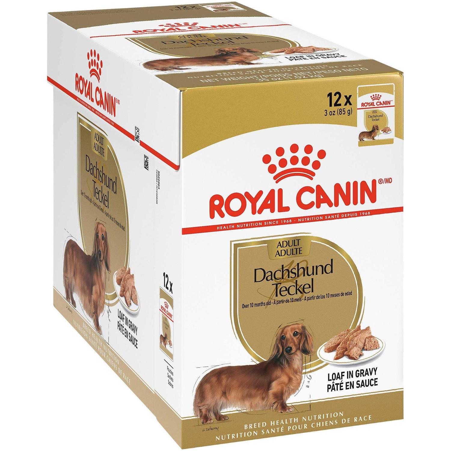 Royal Canin Breed Health Nutrition Dachshund Loaf in Gravy Pouch Dog Food - Healthber