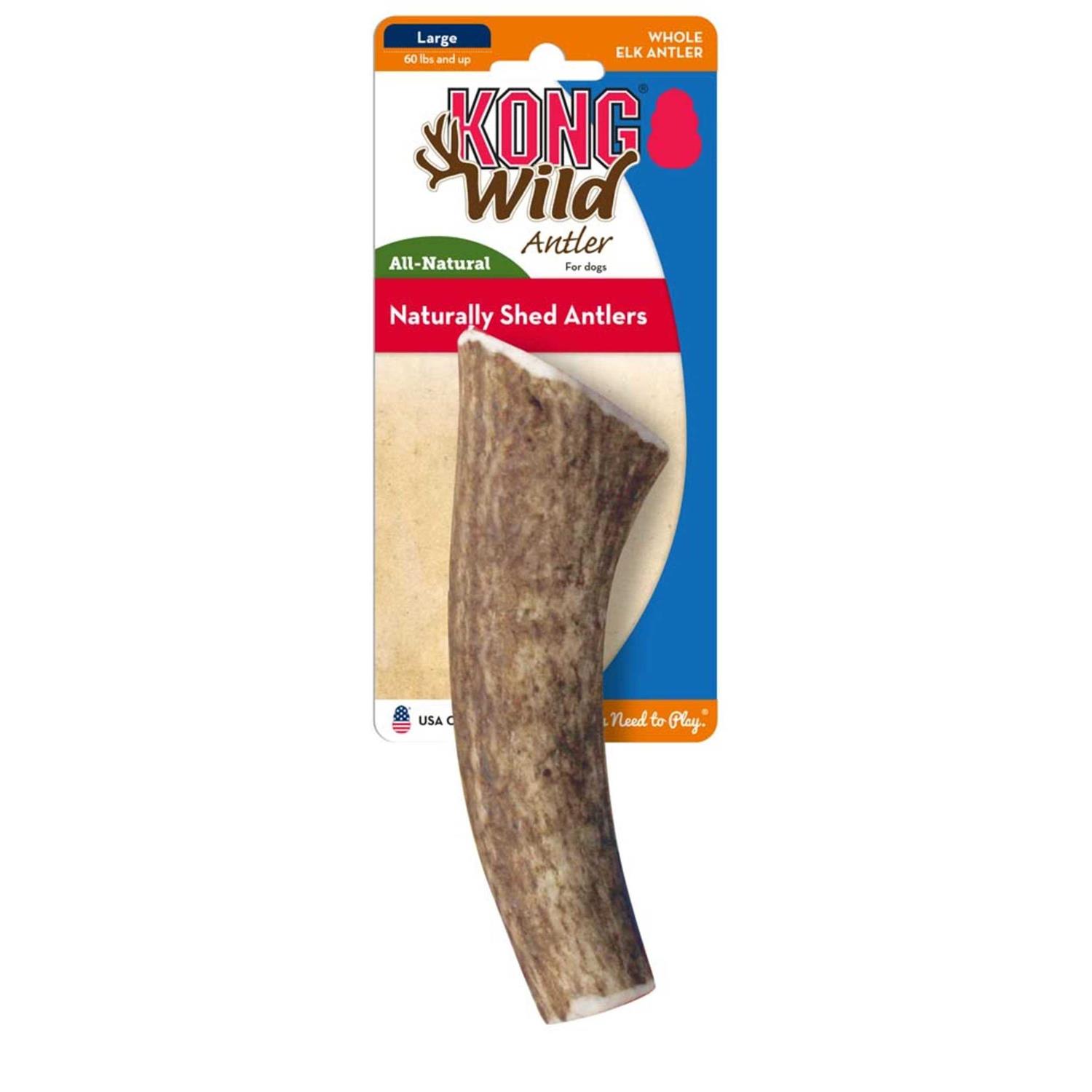 Kong Whole Wild Elk Antler - Healthber