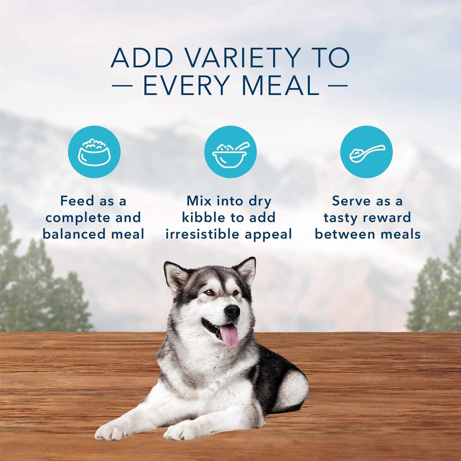 Blue Buffalo Wilderness High Protein Beef & Salmon Adult Wet Dog Food Variety Pack Grain-Free - Healthber