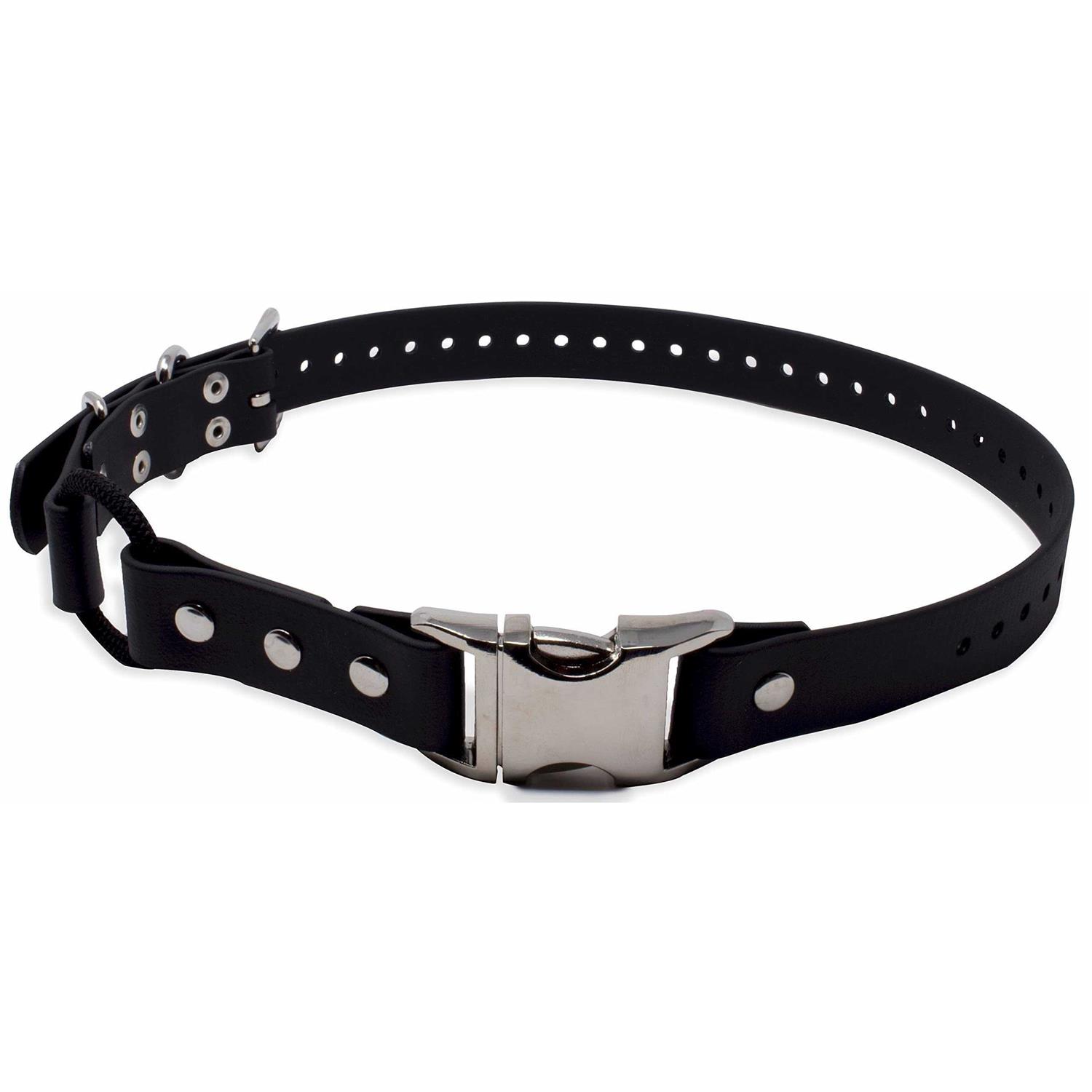 Educator Quick Snap Bungee Collar - Healthber