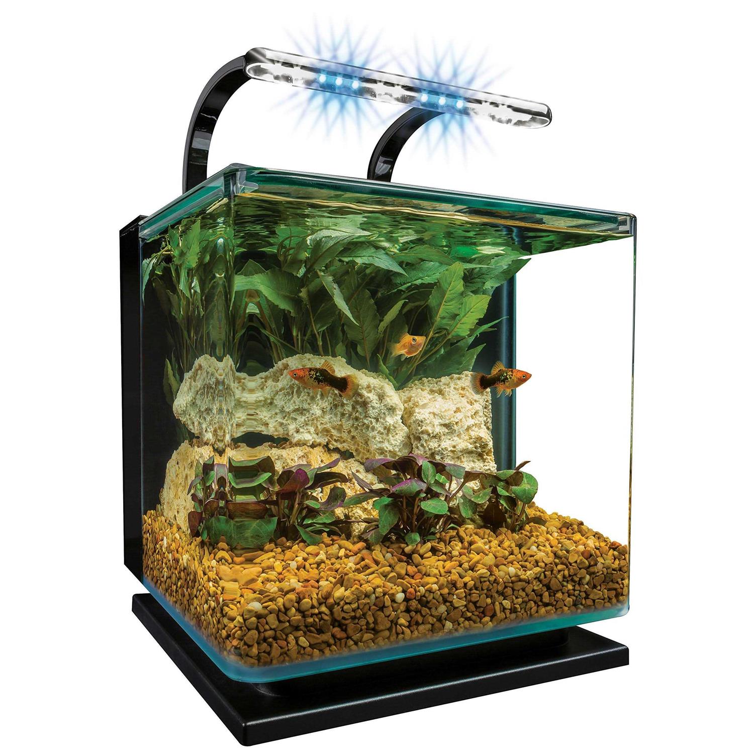 Marineland Contour 5 Gallon Kit - Healthber
